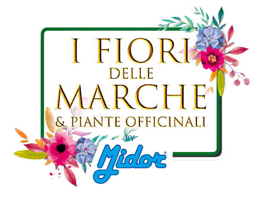 Logo I fiori delle Marche
